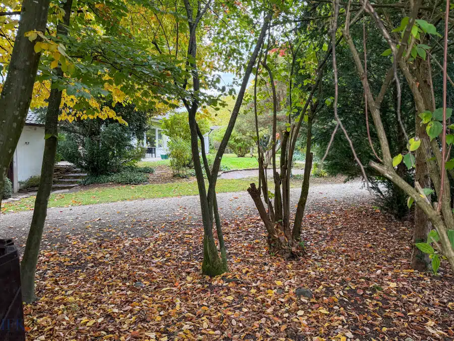 Garten - Vermieteter Bungalow mit Einliegerwohnung im Weilheimer Süden
