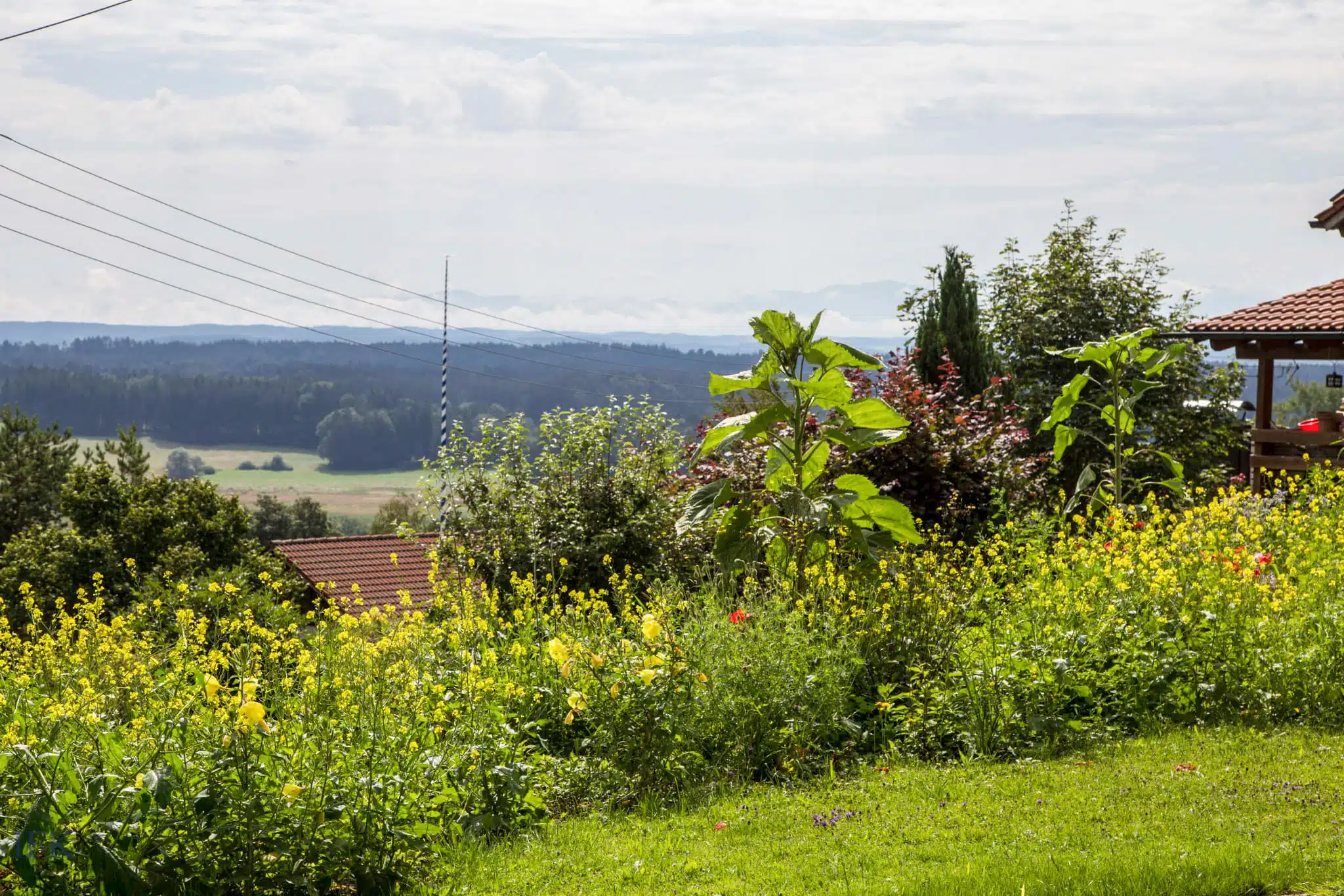 Garten - Naturliebhaber aufgepasst! Juwel mit traumhaftem Ausblick in Paterzell!